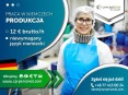 Pracownik produkcji (k/m) bez znajomości języka  12,50 € brutto/h!