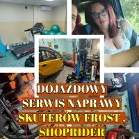 Dojazdowy Serwis Naprawy Skuterów Shoprider, Frost i inne